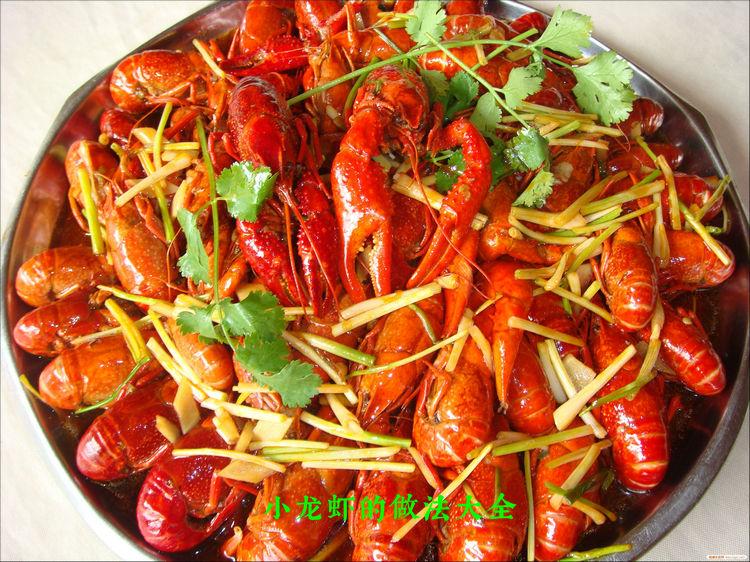 小龙虾的做法大全_麻辣小龙虾，波士顿龙虾等
