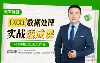 徐军泰Excel数据处理速成实战课，5分钟搞定1天工作量