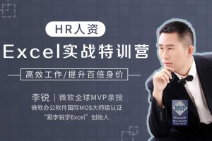 HR人资Excel实战特训营  快速提升百倍身价