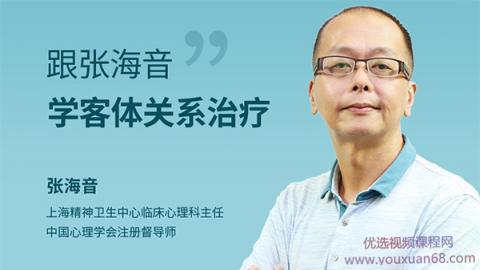 跟张海音学客体关系治疗 网络课程10讲高清视频
