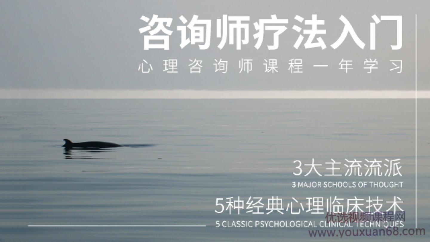 壹心理：心理咨询技术与疗法入门_心理咨询师疗法入门课程