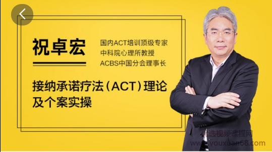 祝卓宏:接纳承诺疗法（ACT）理论及个案操作 视频课