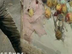 水彩静物色彩教学示范视频_水彩蔬菜写实技法_央美高材生色彩视频教程-...