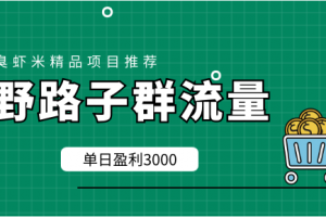 野路子群流量项目：稳定之后可实现日盈利3000-5000，轻松实现月入3万+...
