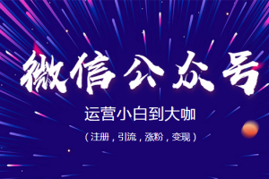 微信公众号运营小白到大咖(注册,引流,涨粉,变现)