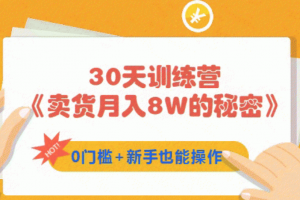 30天训练营《卖货月入8W的秘密》0门槛+新手也能操作（21节课）