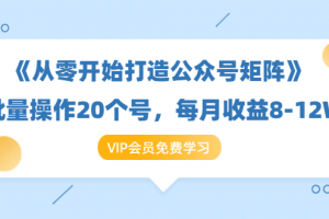 《从零开始打造公众号矩阵》批量操作20个号，每月收益大概8-12W（44节...