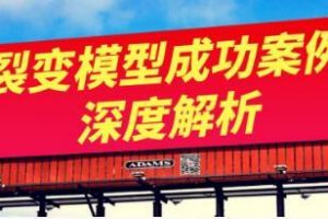 王六六裂变盈利系统课程03裂变模型成功案例深度解析（对标，拆解，套用...