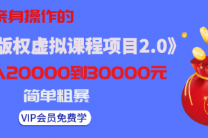 黄岛主我亲身操作的《无版权虚拟课程项目2.0》月入2-3-5W！简单粗暴！...