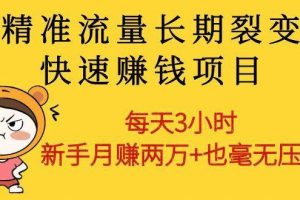 精准流量长期裂变快速赚钱项目：每天3小时 新手月赚两万+也毫无压力
