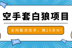 2020最新空手套白狼项目，全网批量截流技术，一个月实战成功赚20多W+ ...