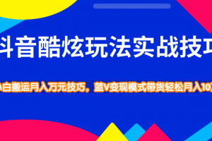 抖音酷炫玩法实战技巧，小白搬运月入万元技巧，蓝V变现模式带货轻松月...