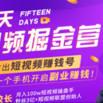 15天短视频掘金营：揭秘短视频赚钱玩法，开启月入过万新副业，会玩手机...