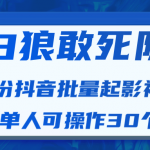 白狼敢死队最新抖音短视频批量起影视号（一天单人可操作30个号）视频课...