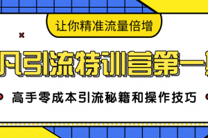 卓凡引流特训营第一期：高手零成本引流秘籍和操作技巧，让你精准流量倍...
