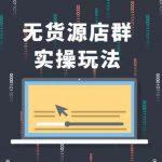 无货源店群实操玩法，蓝海选品的独特思路，店群软件操作方法（45节视频...
