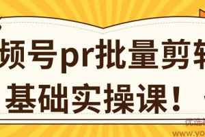视频号PR批量剪辑0基础实操课，PR批量处理伪原创一分钟一个视频【共2节...