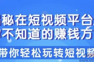 柚子团队课程：揭秘在短视频平台中你不知道的赚钱方法