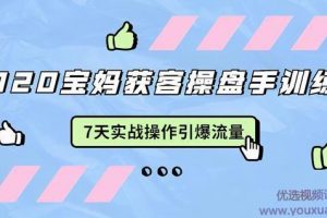 2020宝妈获客操盘手训练营：7天实战操作引流宝妈粉，引爆宝妈流量
