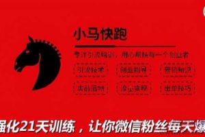 小马快跑引流培训高级课：被动引流日均100+精准客户，让你微信粉丝每天...