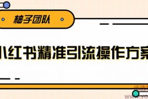 落地实操的小红书精准引流操作方案，一步步执行轻松爆流上万【视频教程...