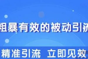 柚子团队内部课程：几个简单粗暴，立即操作立即见效的精准引流玩法