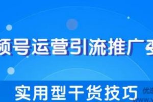 柚子团队内部课程：视频号运营引流推广变现 实用型干货技巧