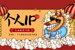 个人IP品牌打造训练营