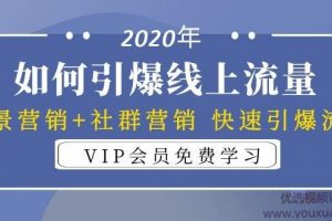 2020年如何引爆线上流量:场景营销+社群营销 快速引爆流量(3节视频课...