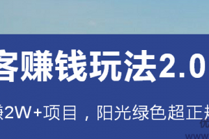 淘客赚钱玩法2.0，阳光绿色超正规项目，月躺赚2W+【视频课程】