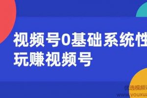 视频号0基础系统性玩赚视频号内容运营+引流+快速变现（20节课）