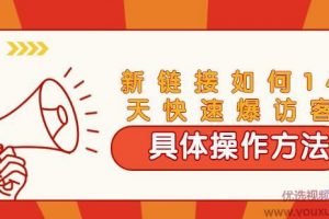 齐论·进阶战术课：拼多多新链接如何14天快速爆访客：具体操作方法