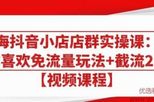 大海抖音小店店群实操课：猜你喜欢免流量玩法+截流2.0【视频课程】
