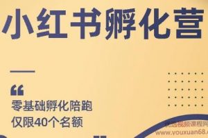 勇哥小红书撸金快速起量项目：教你如何快速起号获得曝光，做到月躺赚在...