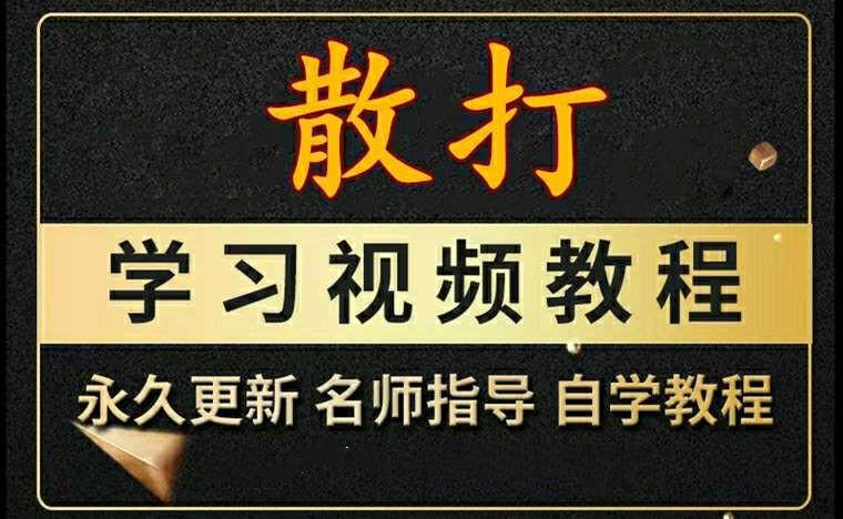 自由搏击+散打+格斗实战教学视频合集