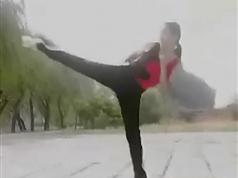 中国武术散打教程视频教学_武术自学教程