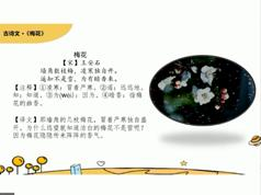 2019新部编版(统编版)小学二年级语文同步辅导课程教学视频全集(含配套...