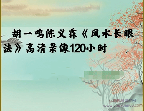 陈义霖《风水长眼法》高清录像120小时