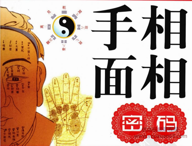 陈清竹面相学15集