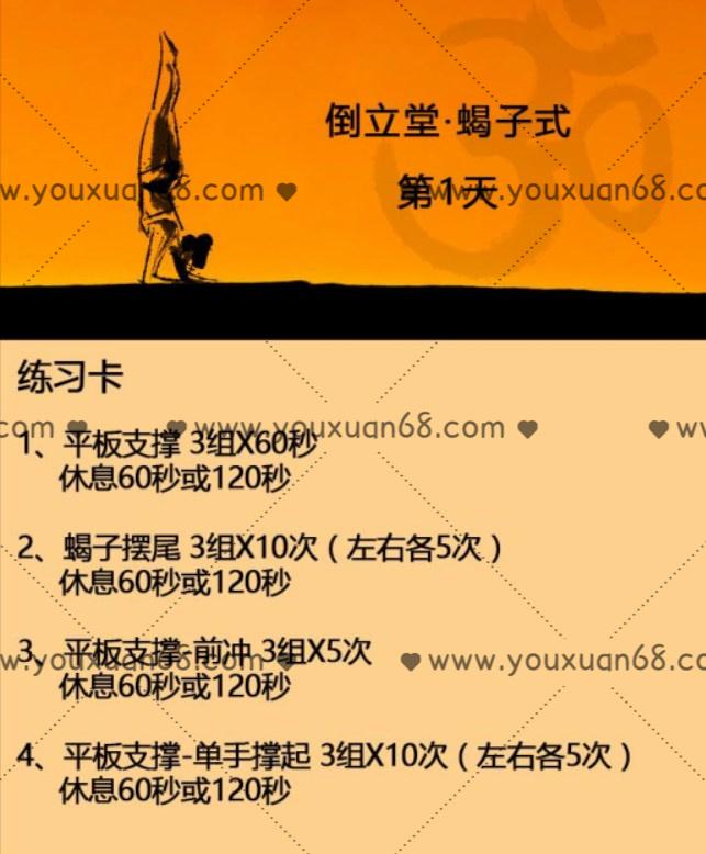 瑜伽课程：五十天练成蝎子式