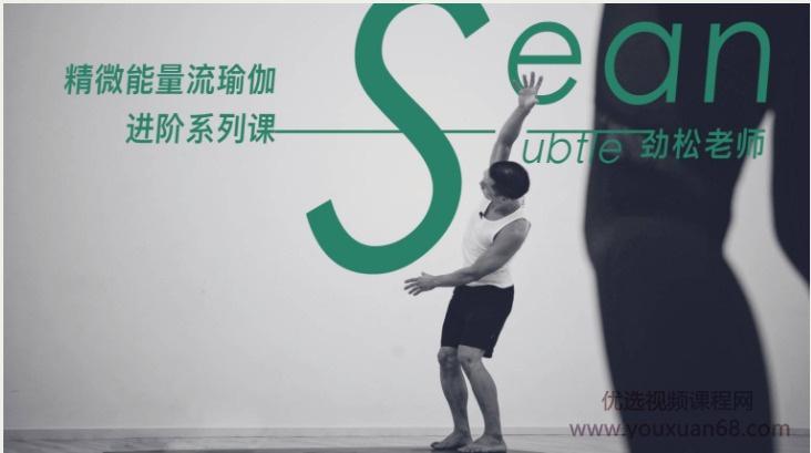 任劲松-精微能量流瑜伽进阶系列课2级