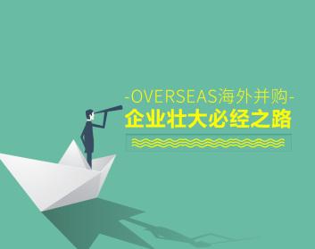 [李琴]海外并购-企业做大做强必经之路（9集）