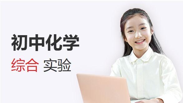 初中化学综合实验【6讲】