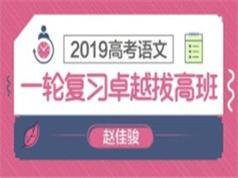 高考语文一轮复习卓越拔高提分班视频教程(4大讲)