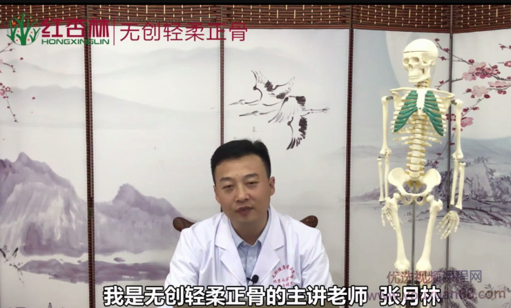 张月林无创轻柔正骨 初级参考班(38讲)