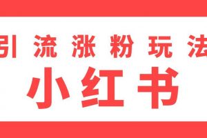雨果：不用写文章，不用拍照片，小红书另类引流涨粉玩法（视频课程） ...