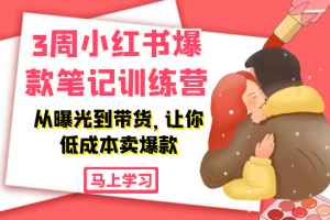 3周小红书爆款笔记训练营：从曝光到带货，让你低成本卖爆款